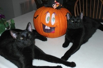 page6-pasted-graphic-5